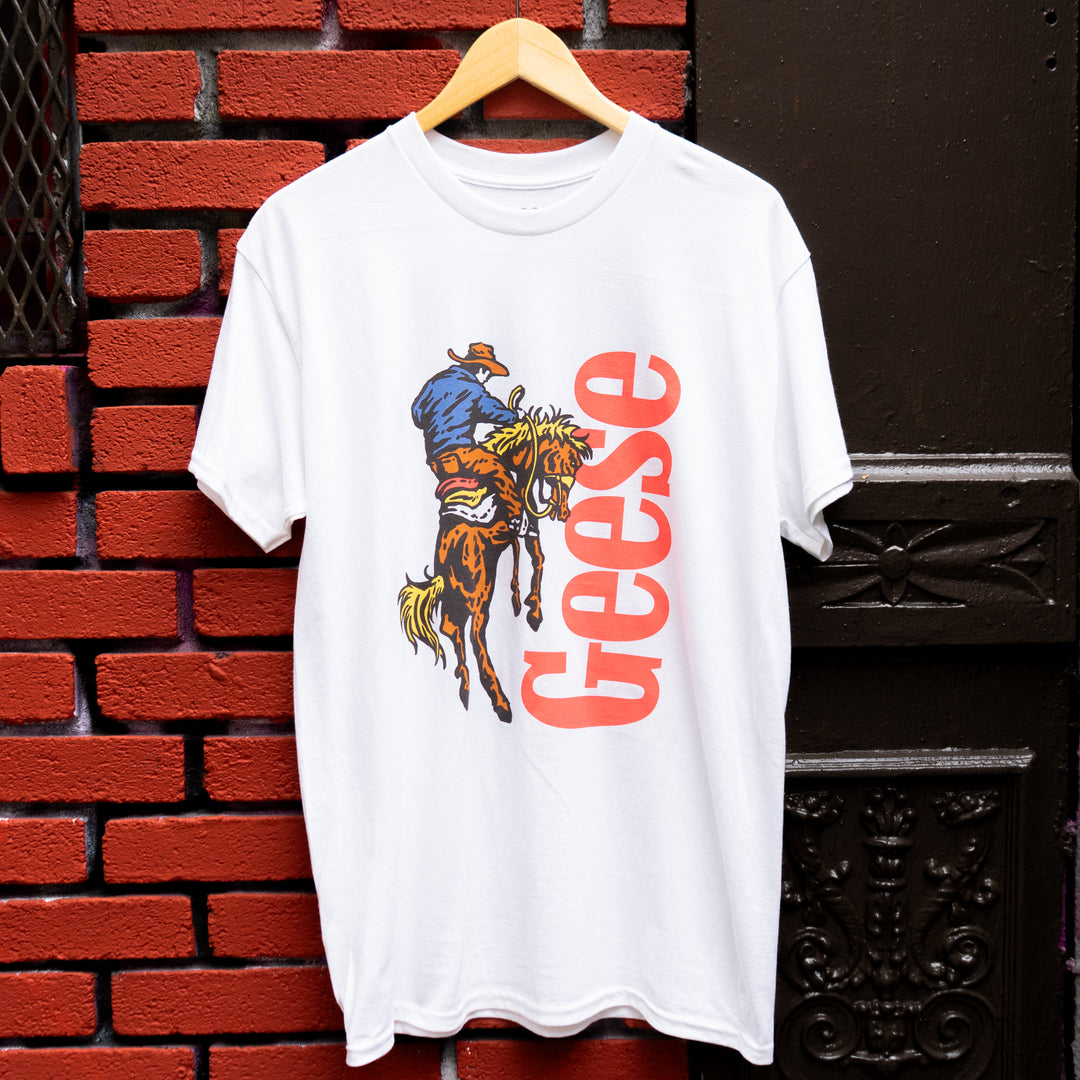 Geese 3D Cowboy