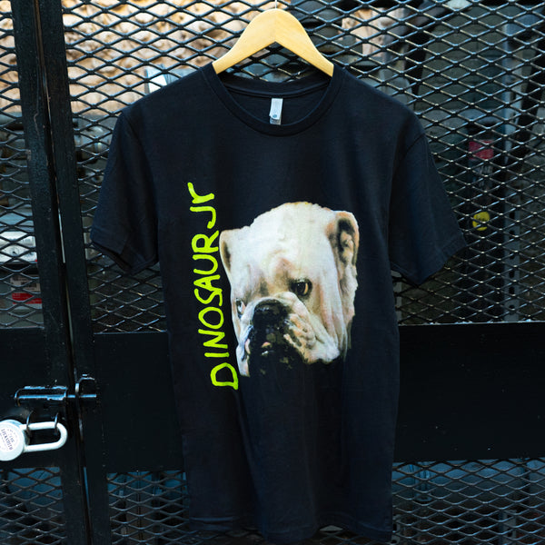 DinosaurJr.