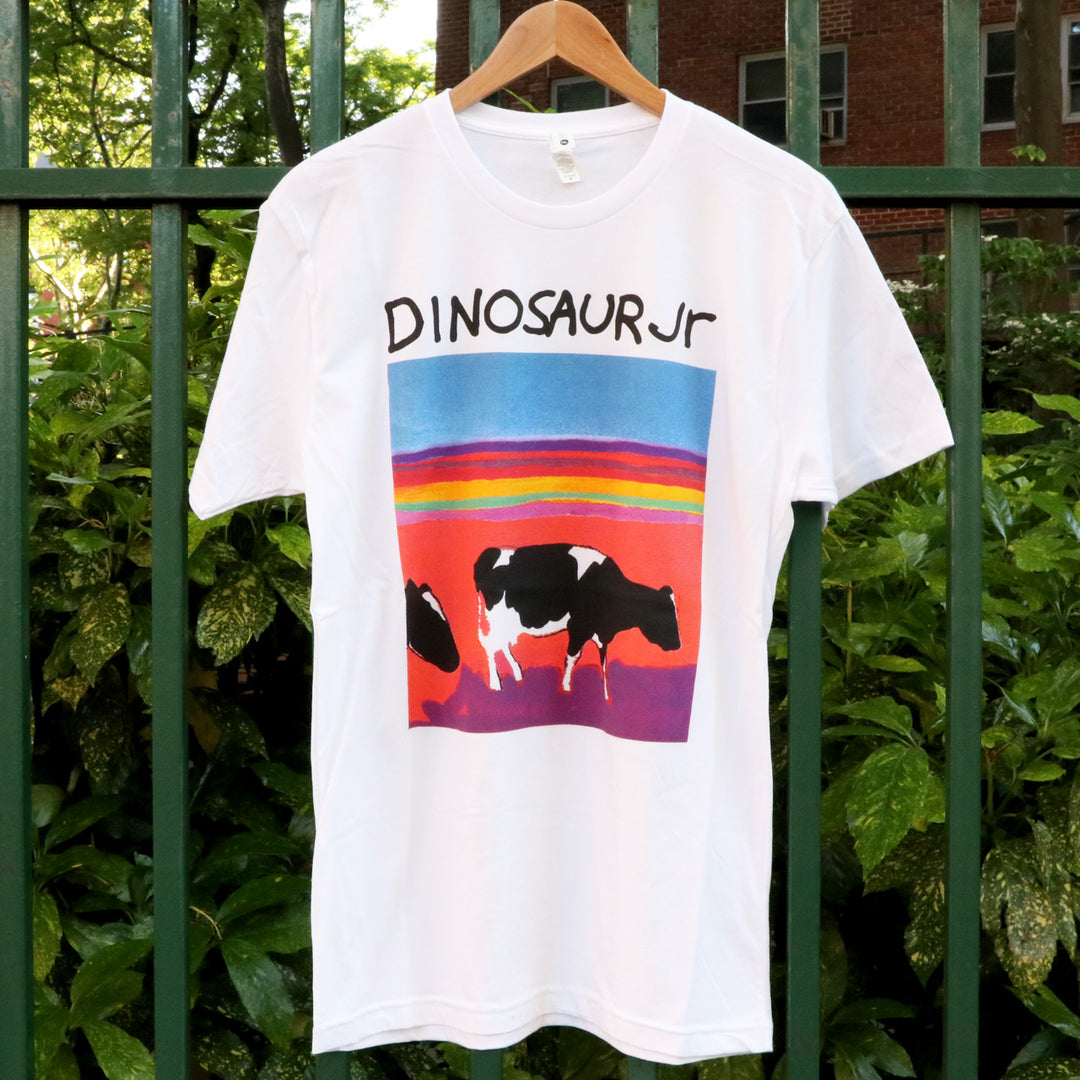 Dinosaur Jr. Without A Sound
